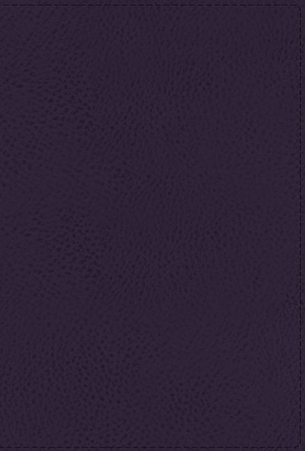 NIV, Thompson Chain-Reference Bible, Leathersoft, Navy, Thumb Indexed, Red Letter, Comfort Print *Like New*