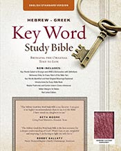 Hebrew-Greek Key Word Study Bible: ESV Edition, Genuine Leather Burgundy (Key Word Study Bibles) *Like New*
