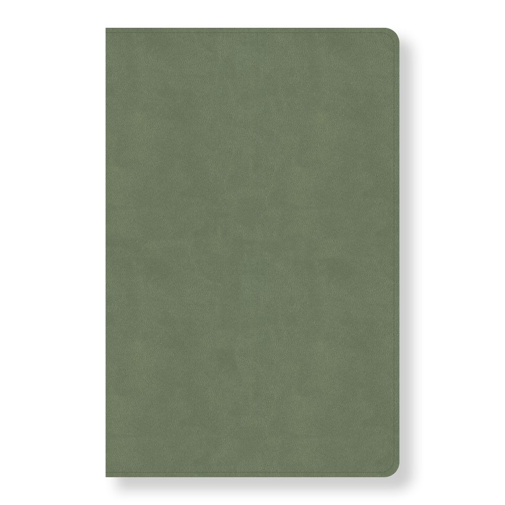 CSB Every Day with Jesus Daily Bible, Sage LeatherTouch, Black Letter, Reading Plan, One Year, Devotionals, Easy-to-Read Bible Serif Type