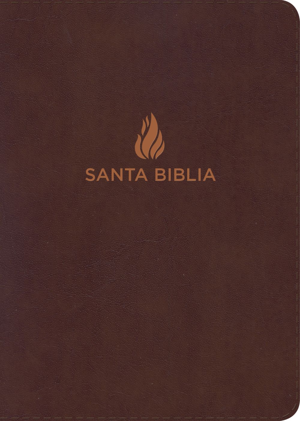NVI Biblia compacta letra grande, marron, piel fabricada con indice (Spanish Edition) *Very Good*