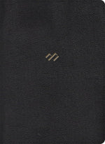 Reina Valera 1960 Biblia temática de estudio, edición deluxe, piel genuina / RVR 1960 Thematic Study Bible Deluxe Edition, Genuine Leather (Spanish Edition) cover image