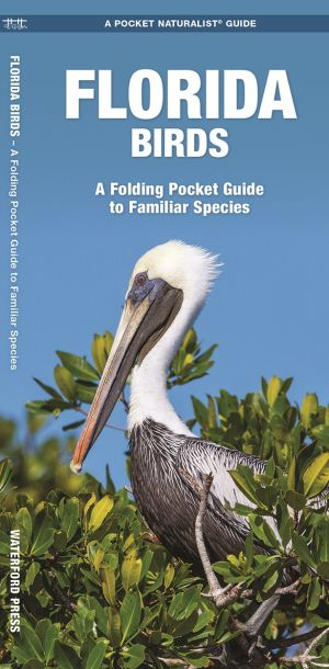 Florida Birds: A Folding Pocket Guide to Familiar Species (Wildlife and Nature Identification)