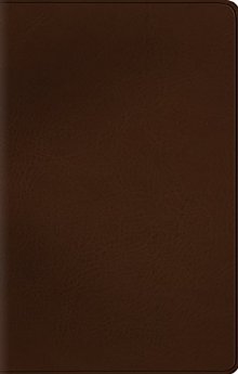 ESV Value Thinline Bible (TruTone, Deep Brown)