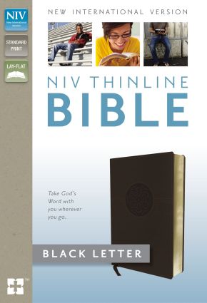 NIV, Thinline Bible, Imitation Leather, Brown