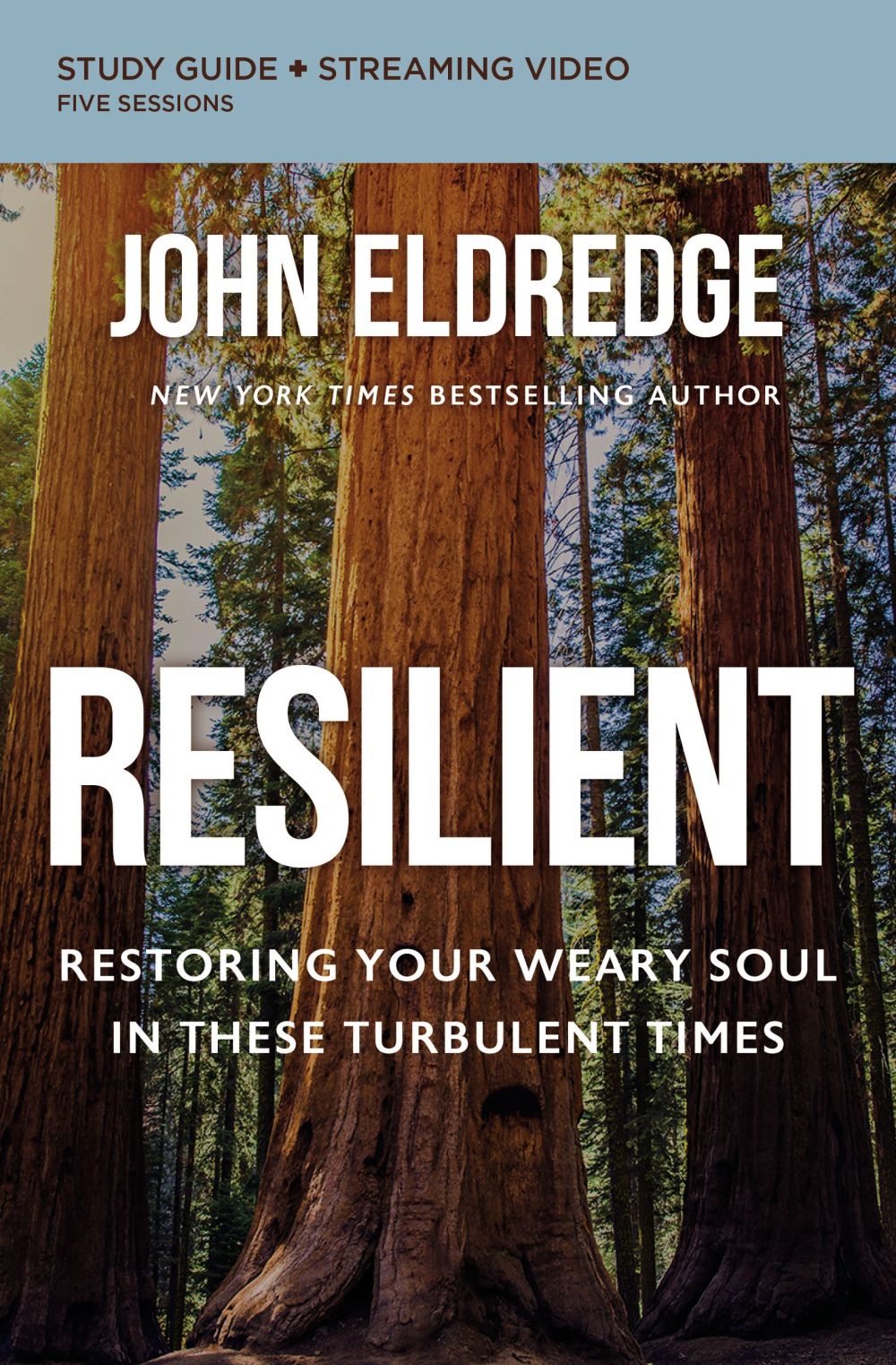 Resilient Bible Study Guide plus Streaming Video: Restoring Your Weary Soul in These Turbulent Times *Very Good*