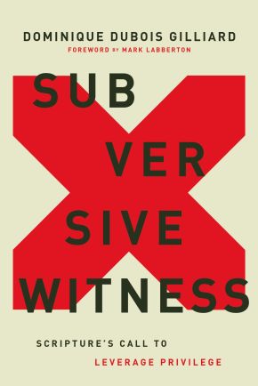 Subversive Witness: Scripture's Call to Leverage Privilege