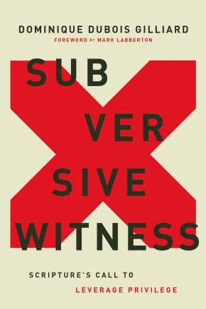 Subversive Witness: Scripture's Call to Leverage Privilege *Very Good*