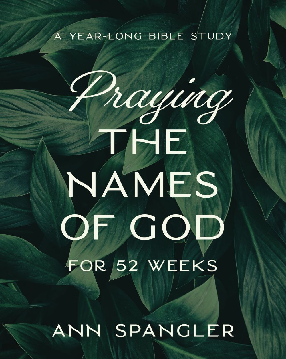 Praying the Names of God for 52 Weeks, Expanded Edition: A Year-Long Bible Study *Very Good*