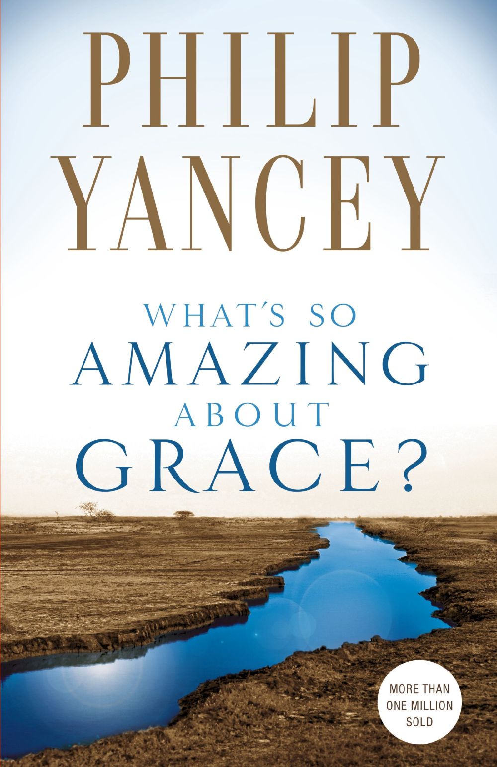 What's So Amazing About Grace? *Very Good*