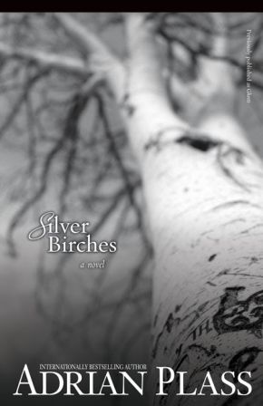 Silver Birches: A Novel *Very Good*