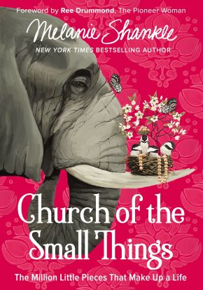 Church of the Small Things: The Million Little Pieces That Make Up a Life *Very Good*