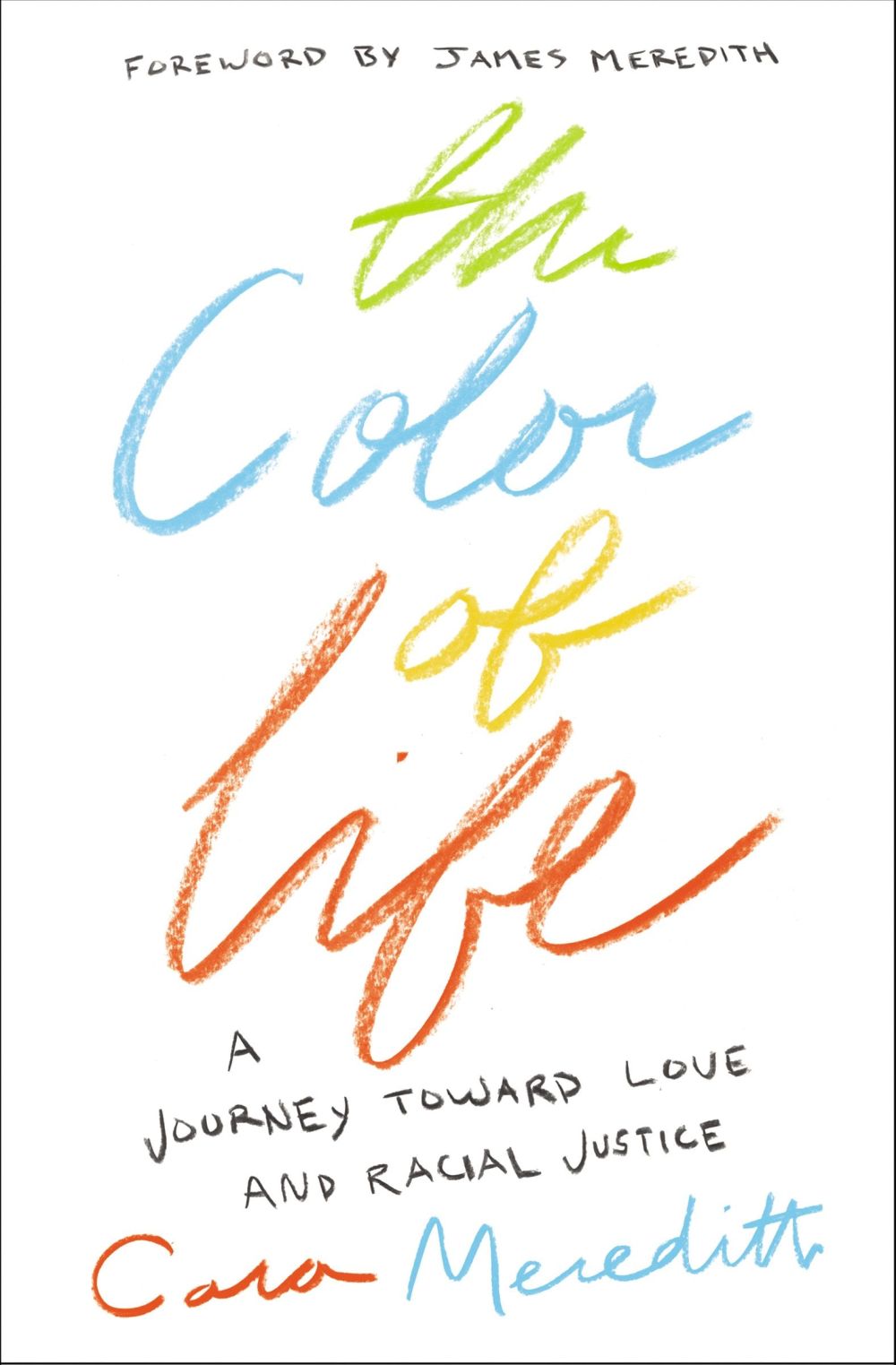 The Color of Life: A Journey toward Love and Racial Justice *Very Good*