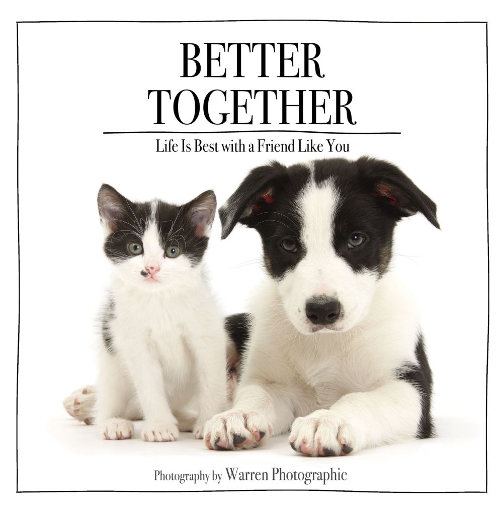 Better Together: Life Is Best with a Friend Like You *Very Good*