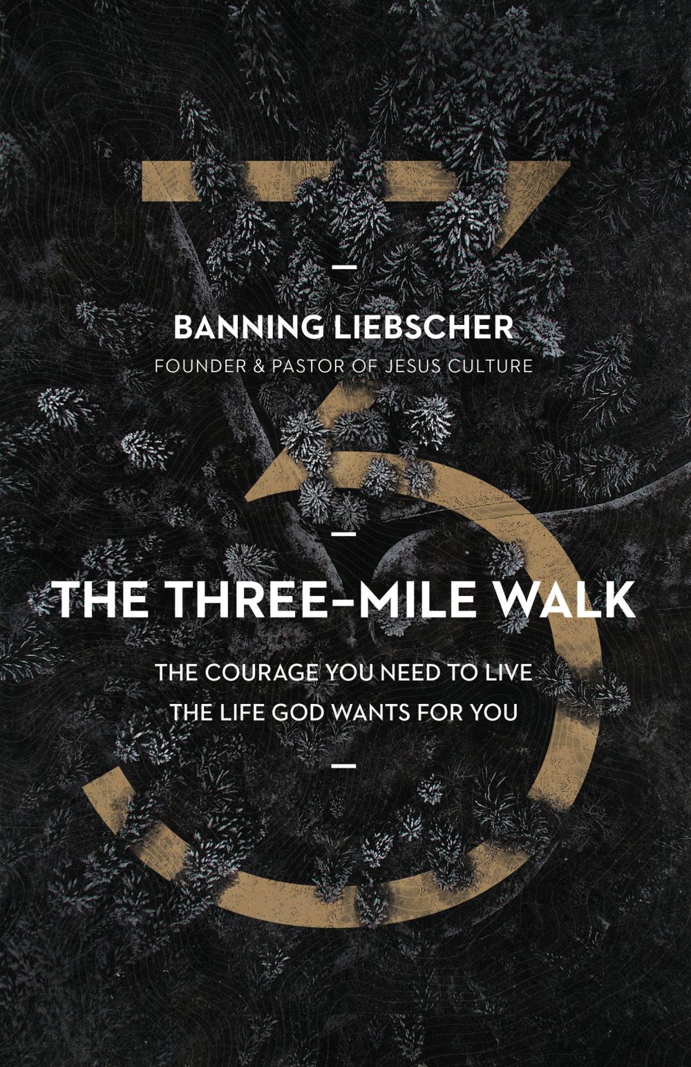 The Three-Mile Walk: The Courage You Need to Live the Life God Wants for You *Very Good*