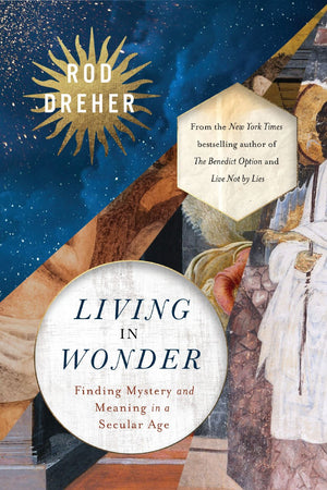 Living in Wonder: Finding Mystery and Meaning in a Secular Age *Very Good*