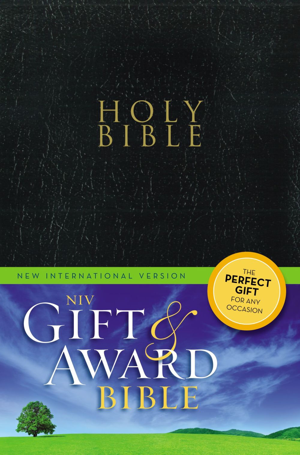 Gift and Award Bible-NIV