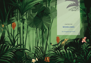 A Christian's Guide to Planet Earth: Why It Matters and How to Care for It