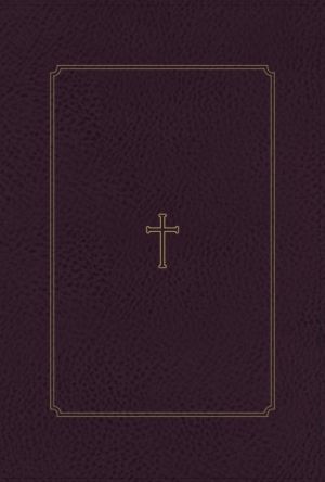 KJV, Thompson Chain-Reference Bible, Leathersoft, Burgundy, Red Letter, Thumb Indexed, Comfort Print