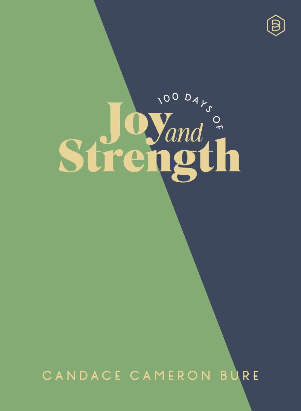 100 Days of Joy and Strength: Daily Devotions to Help You Find Overwhelming Peace on Busy Days (A 100-Day Devotional) (Light the Way)