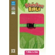 NIV, Adventure Bible, Imitation Leather, Pink/Green
