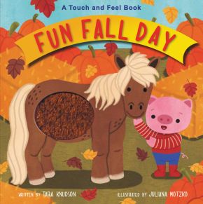 Fun Fall Day: A Touch and Feel Board Book *Very Good*