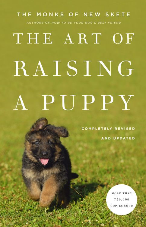 The Art of Raising a Puppy (Revised Edition) *Very Good*