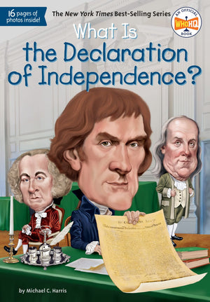 What Is the Declaration of Independence? (What Was?) *Very Good*