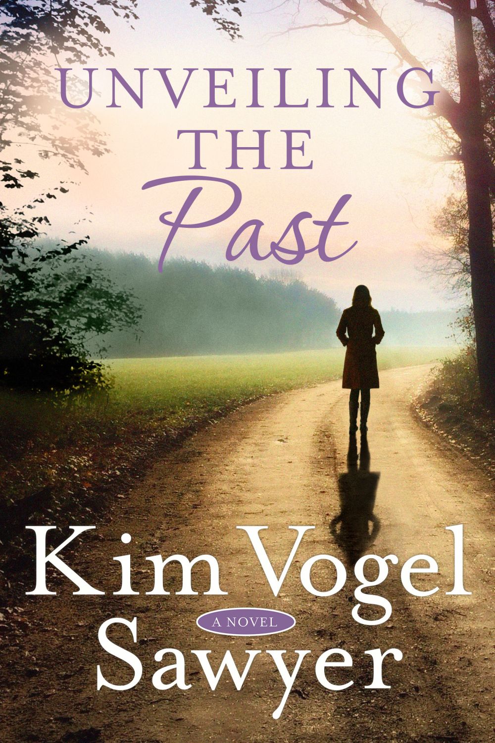 Unveiling the Past: A Novel