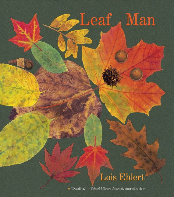 Leaf Man big book *Very Good*