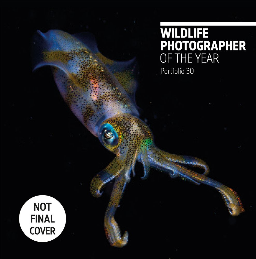 Wildlife Photographer of the Year: Portfolio 30 (30)