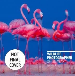 Wildlife Photographer of the Year: Portfolio 31 (31)