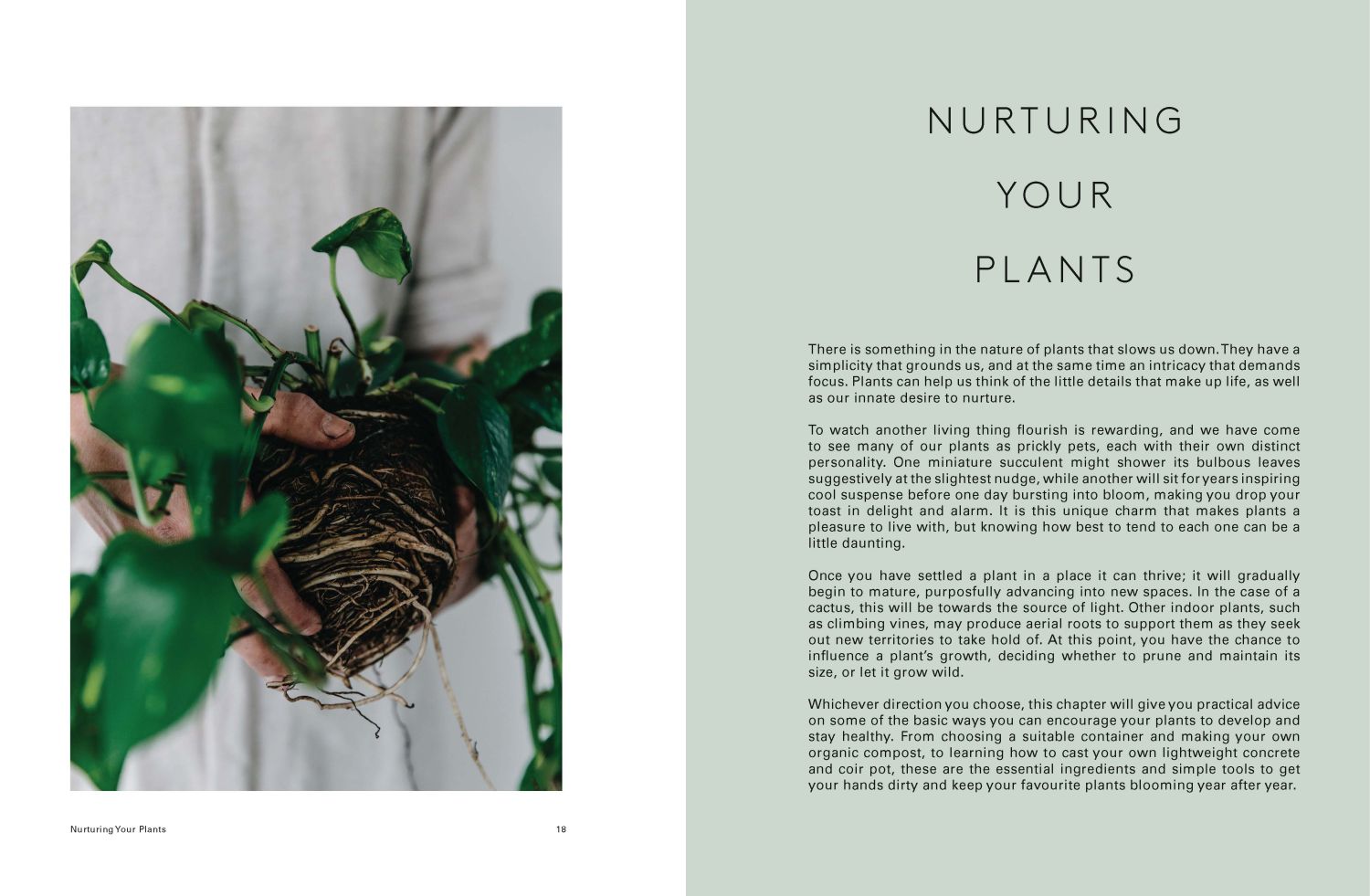 house of plants living with succulents air plants and cacti House of Plants : Living with Succulents, Air Plants and Cacti
