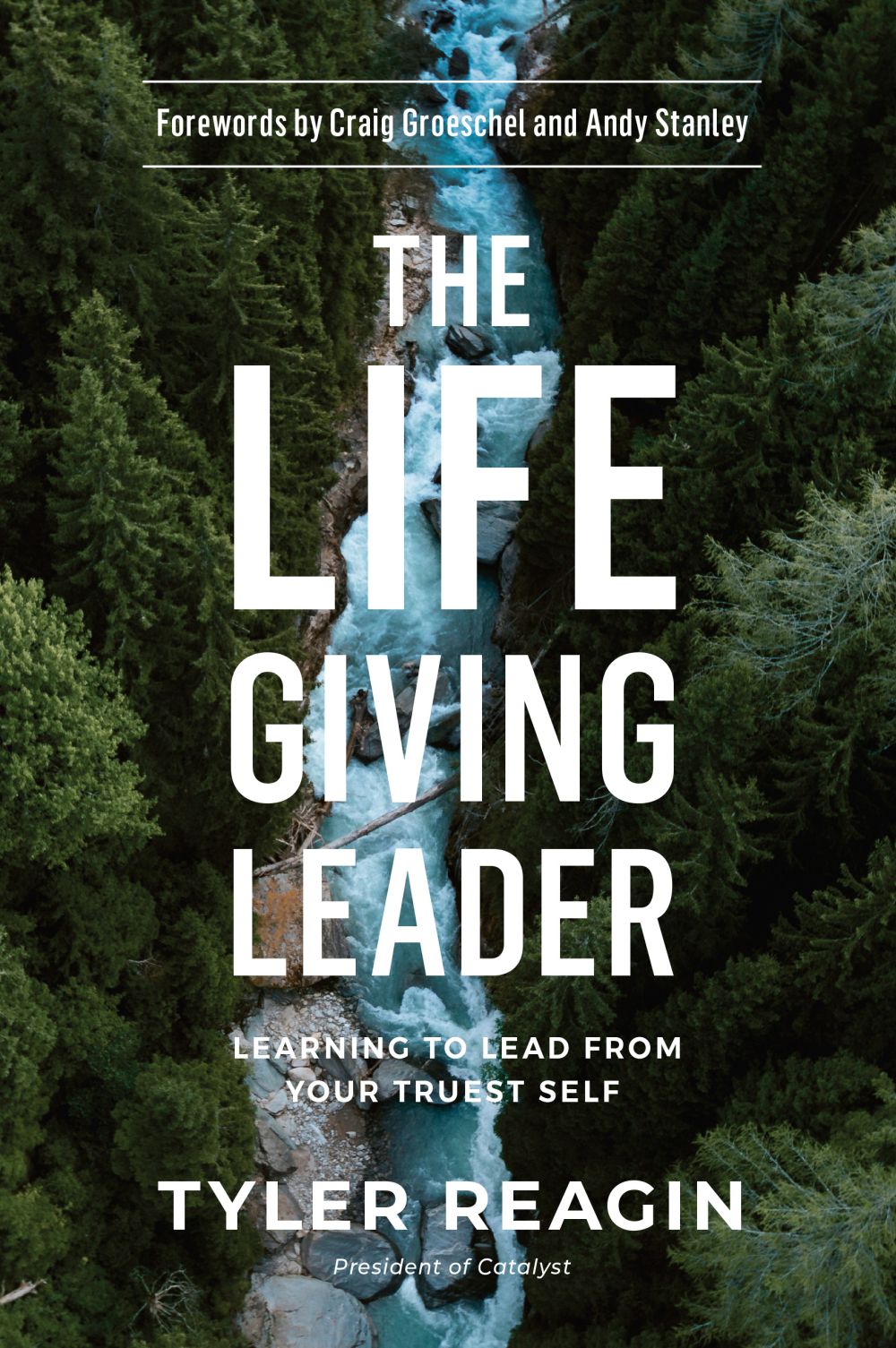 The Life-Giving Leader: Learning to Lead from Your Truest Self *Very Good*