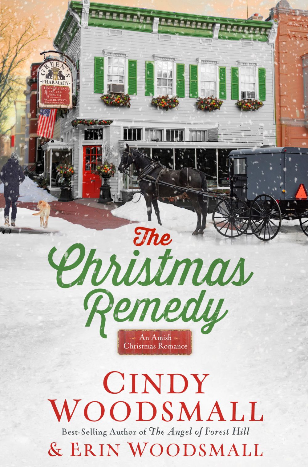 The Christmas Remedy: An Amish Christmas Romance