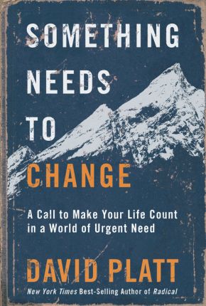 Something Needs to Change: A Call to Make Your Life Count in a World of Urgent Need *Very Good*