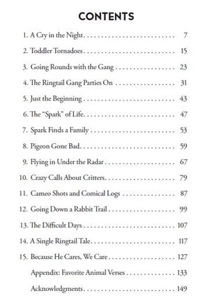 Raccoon Gangs, Pigeons Gone Bad, and Other Animal Adventures: A Wildlife Rehabber's Tale of Birds and Beasts