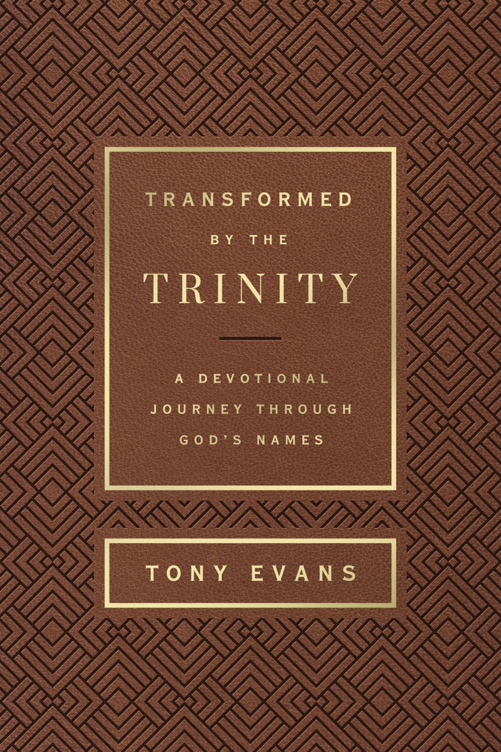 Transformed by the Trinity (Milano Softone): A Devotional Journey Through God's Names (The Names of God Series)