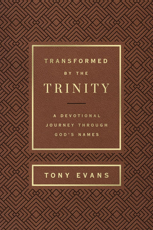 Transformed by the Trinity (Milano Softone): A Devotional Journey Through God's Names (The Names of God Series)