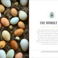 Epic Eggs: The Poultry Enthusiast's Complete and Essential Guide to the Most Perfect Food