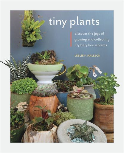 Tiny Plants: Discover the joys of growing and collecting itty-bitty houseplants