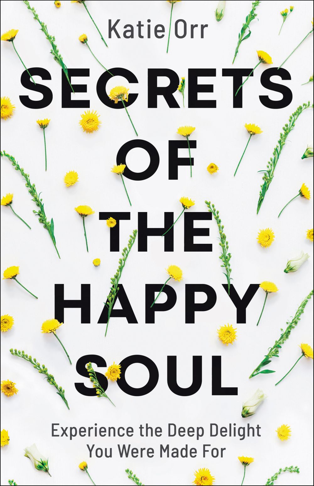 Secrets of the Happy Soul: Experience the Deep Delight You Were Made For