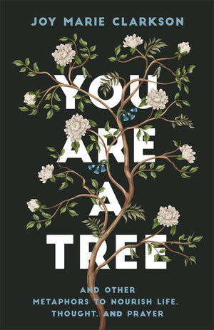 You Are a Tree: And Other Metaphors to Nourish Life, Thought, and Prayer'ۥA Contemplative Meditation on Language in Scripture and Poetry to Find Meaning and Understanding in Our Words