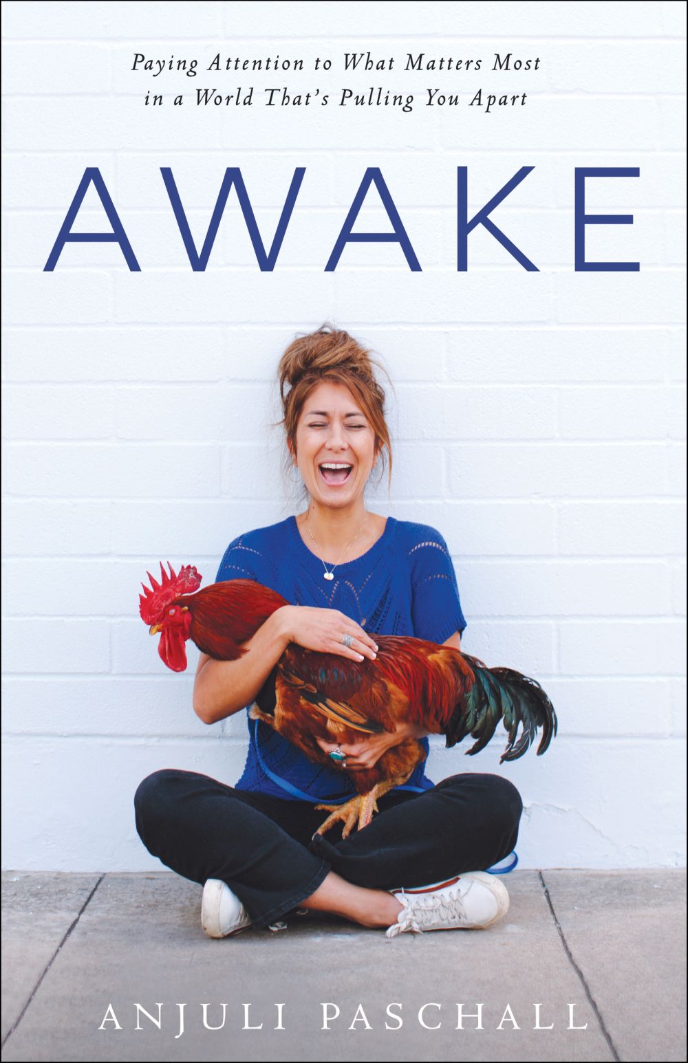 Awake: Paying Attention to What Matters Most in a World That's Pulling You Apart