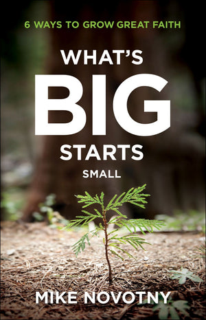 What's Big Starts Small: 6 Ways to Grow Great Faith