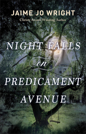 Night Falls on Predicament Avenue: A Dual-Time Murder Mystery and Suspense Fiction Book with Clean Romance