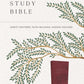 Evangelical Study Bible: Christ-centered. Faith-building. Mission-focused. (NKJV, Pink Leathersoft, Red Letter, Large Comfort Print)