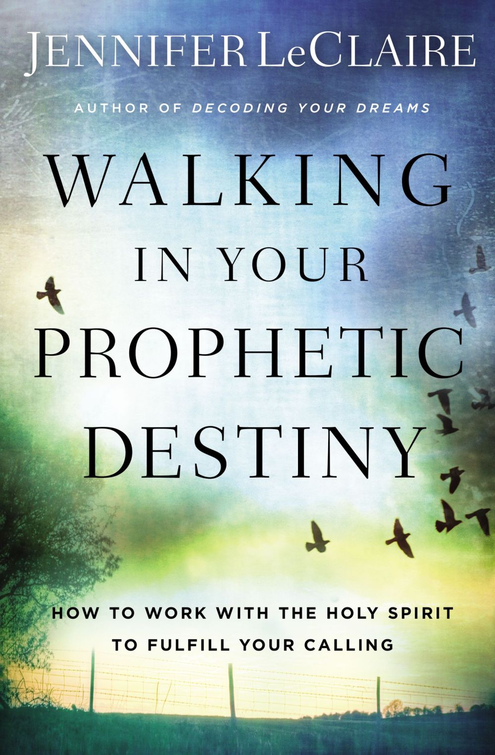 Walking in Your Prophetic Destiny: How to Work with The Holy Spirit to Fulfill Your Calling *Very Good*