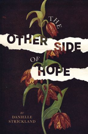 The Other Side of Hope: Flipping the Script on Cynicism and Despair and Rediscovering our Humanity *Very Good*