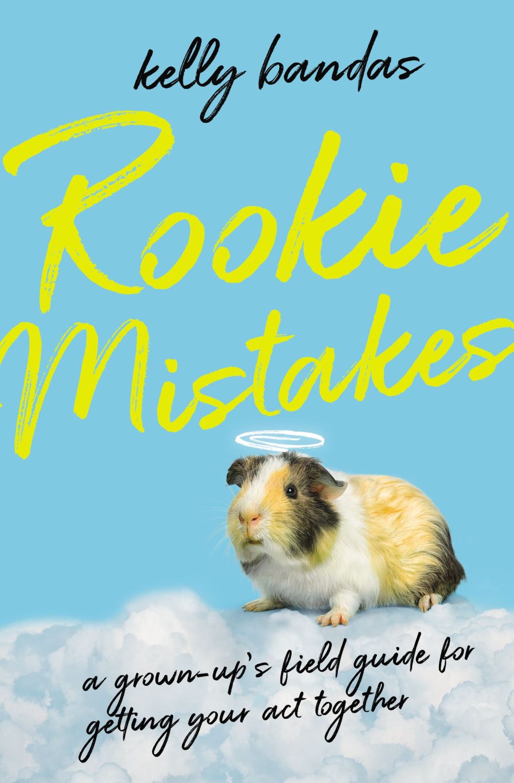 Rookie Mistakes: A Grown-Up's Field Guide for Getting Your Act Together