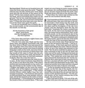 NABRE XL, Catholic Edition, Leathersoft, Brown, Comfort Print: Holy Bible *Acceptable*